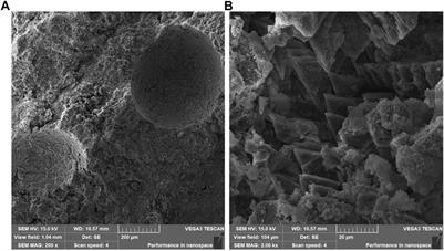 Effect of silt modification on the properties of magnesium phosphate cement